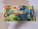 乐高（LEGO）积木玩具 创意三合一31173热带巨嘴鸟 7岁+ 儿童玩具生日礼物 实拍图