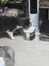 HELLOJOY猫咪饮水机自动循环喂水器猫喝水流动防干烧宠物饮水器自助喝水器 实拍图