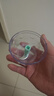 小熊（Bear）捣蒜器 打压蒜泥捣碎神器 家用拉蒜器绞肉馅搅碎机器 CX-D0010 实拍图