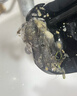 添可芙万极客AI全向助力【净顽渍 14天无异味 安静洗】0缠毛躺平洗地机吸拖一体【北极星升级款】 实拍图