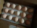 1号会员店可生食鸡蛋30枚净重3.6斤精选大码蛋礼盒装 源头直发 实拍图