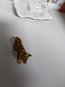 思乐（Schleich S）新年礼物仿真动物模型 老虎狮子狼豹白虎猞猁男女孩儿童玩具生日 老虎幼崽14730 实拍图