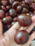丹东新鲜生板栗野生大板栗现摘新货糖炒油栗毛板栗仁锥栗子整箱 精选装5斤【净重4-4.5斤】 实拍图
