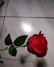 初朵单支玫瑰花永生香皂花束老婆伴手礼生日礼物结婚纪念日圣诞非鲜花 实拍图