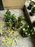 御春阁 铁海棠 红花虎刺梅四季花期长常绿室内观花植物桌面客厅盆栽 粉色虎刺梅带花苞（原盆原土）1盆装 实拍图