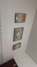Sixpoetry 客厅装饰画现代简约沙发背景墙壁画轻奢三联晶瓷画大气高档挂画 福禄生花（铝合金外框） 晶瓷画左右40*60+中间80*60亮面 实拍图