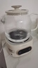 美的（Midea）花漾0胶水全玻璃全自动养生壶 办公室多功能煮茶壶 烧水壶恒温电热水壶煮茶器花茶壶1L YS10B101 实拍图