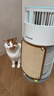 霍尼韦尔（Honeywell）宠物空气净化器吸猫毛除过敏源猫猫搭子 猫毛净化器杀菌消毒除异味【家电国家补贴】KJ360F-C22W 实拍图