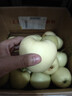甜醉了 烟台苹果黄元帅粉面苹果黄金帅黄香蕉山东新鲜水果当季整箱鲜果 净重5斤特大果85mm 实拍图