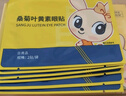 内廷上用叶黄素护眼贴缓解眼疲劳眼干眼涩视力模糊青少年眼贴儿童冷敷10对 实拍图