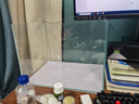 坤宁王金晶超白玻璃鱼缸40*30方缸家用小型裸缸桌面造景溪流缸乌龟缸 实拍图