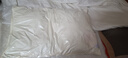 霞珍酒店枕头全棉羽毛枕 柔软鹅毛枕芯 单只装48*74 实拍图