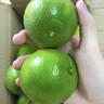 山姆伯伯 脐橙【闪送】新鲜橙子整箱果冻甜橙应季水果礼盒装 【力荐-果大香甜】100-150g/个 【精美礼箱】5斤装丨送礼推荐丨净4.5 实拍图