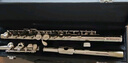 塞德森（SAIDESEN） 长笛乐器 16孔闭孔白铜镀镍银/银 长笛乐器C调学生考级初学专业 16孔闭孔镍银SFL-140 实拍图