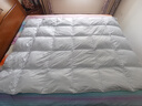 富安娜90%鸭绒羽绒被加厚被子单人学生被芯 1000g羽绒152*210cm 蓝 实拍图