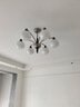 雷士（NVC）客厅吊灯主灯灯具中古风吊灯法式复古美拉德高级感新款灯包安装 实拍图