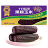 十月稻田 黑糯玉米 3.52斤(220g*8根) 东北甜黏玉米棒 早餐苞米 低脂零食 实拍图