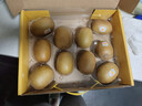 佳沛（zespri）新西兰  阳光金奇异果10粒礼盒巨大果单果约144-175g 水果 猕猴桃 实拍图
