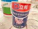 立邦 乳胶漆京雅居抗甲醛全效无添加环保墙面漆套装15L约21KG定制调色 实拍图