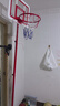 宏登儿童篮球架男孩玩具少年可投5号球室内外投篮框架2.4米生日礼物 实拍图