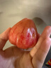 京鲜生 红宝石莲雾 净重2斤装7-10个 单果100g+生鲜水果源头直发包邮 实拍图