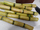 广西黄皮甘蔗水果黑皮甘蔗新鲜黄果蔗可榨汁煲汤削皮即食产地直发 【囤货】黄皮甘蔗9斤 实拍图