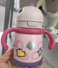 babycare儿童保温杯婴儿宝宝吸管水杯霸王龙不锈钢保温杯300ml-新旧款混发 实拍图