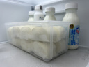 家の物语（KATEI STORY）日本进口包子收纳盒馒头冷冻收纳盒大容量冰箱饺子食品级保鲜盒 实拍图