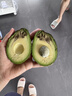山姆大叔 金奖·哈斯牛油果云南孟连【闪送】当季鳄梨非即食新鲜水果礼盒 【鼻祖级】特级果丨约130-160g 8枚【80%选择-狠划算】普装 实拍图