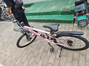 飞鸽（FLYING PIGEON）山地自行车成人男女变速山地车青少年中小学生车越野户外骑行单车 【高碳钢】G8002代-辐条轮-粉色 26寸轮组（适合160-180cm） 21速入门版 实拍图