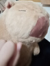 卡皮巴拉毛绒玩具公仔儿童生日礼物女孩情人节礼物水豚毛绒玩偶 卡皮巴拉公仔 1个装（新人专享） 实拍图