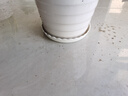 花盆托盘加厚塑料花盘底盘垫接水盘花盆垫底多肉圆形底托花盆底座 绿T120【内径9cm】 实拍图