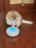 霍曼（Homerun）宠物智能甜甜圈 猫玩具 猫咪陪伴玩具CT10 实拍图
