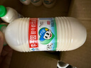 李子园甜牛奶乳饮料原味饮品225ml*20瓶学生儿童奶营养早餐奶整箱黑五 实拍图