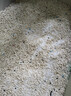 洁客茉莉雪芽木薯猫砂豆腐植物膨润土混合除臭结团不沾底2.3kg*4 实拍图
