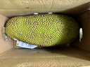 京鲜生 海南菠萝蜜 19-24斤 净重19斤+生鲜水果 源头直发 实拍图