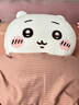 名创优品（MINISO）chiikawa大号站姿公仔毛绒玩偶玩具抱枕娃娃儿童女友生日礼物吉伊 实拍图