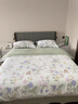 九洲鹿床上四件套纯棉100%纯棉裸睡床单被套200*230cm轻奢高级4件套 实拍图