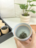 七春茶叶信阳毛尖绿茶2025新茶明前春茶叶礼盒小罐茗茶170g礼品 实拍图