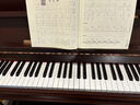珠江钢琴（PEARLRIVER）里特米勒 高档家用成人美式立式德系工艺钢琴Ritmiiller J1-U 实拍图