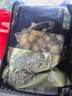 初鲜大号冷冻带黄扇贝肉净重2斤约80-120颗烧烤火锅食材海鲜水产送礼 实拍图