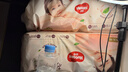 好奇（Huggies）铂金装小桃裤成长裤XL96片(12-17kg)加大号尿不湿【透爽散热】 实拍图