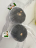家美舒达 山东 贝贝南瓜 板栗小南瓜 0.8-1.2斤（品种：明博） 新鲜蔬菜 实拍图
