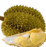 京鲜生 进口金枕头榴莲 净重7-8斤 1个装 鲜果 生鲜 新鲜水果 实拍图