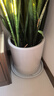 大号特大号高筒陶瓷花盆发财树天堂鸟大口径30以上绿植大花盆 白色直筒低腰（大号） 实拍图