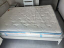 喜临门椰棕薄垫子 4CM舒脊椰棕席梦思儿童老人床垫 伊菲H10 1.5x2米偏硬 实拍图