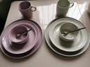 珐宝（staub）松露白陶瓷家用饭碗盘子餐盘圆盘碗碟餐具乔迁礼 松露白陶瓷椭圆形鱼盘35cm 1头 实拍图