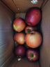 山姆大叔 丑苹果昭通苹果冰糖级【多地次日达】苹果水果礼盒圣诞节礼物 【尝鲜果】单果60-65mm｜甜 3斤装【尝鲜 较划算】净2.5 实拍图