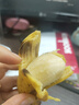 广西网红小米蕉青香蕉发货密封放熟吃新鲜水果皮薄肉厚 带箱2斤青蕉发货 实拍图
