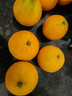京鲜生 四川爱媛38号果冻橙 净重8.5-9斤 单果210g+ 源头直发包邮 实拍图